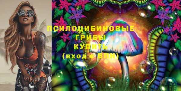 МДПВ Вязники