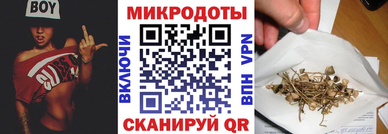 Псилоцибиновые грибы GOLDEN TEACHER Нефтекамск